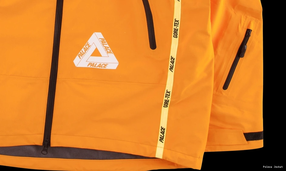 Affordable Palace Palex Jacket Gore-Tex 0818